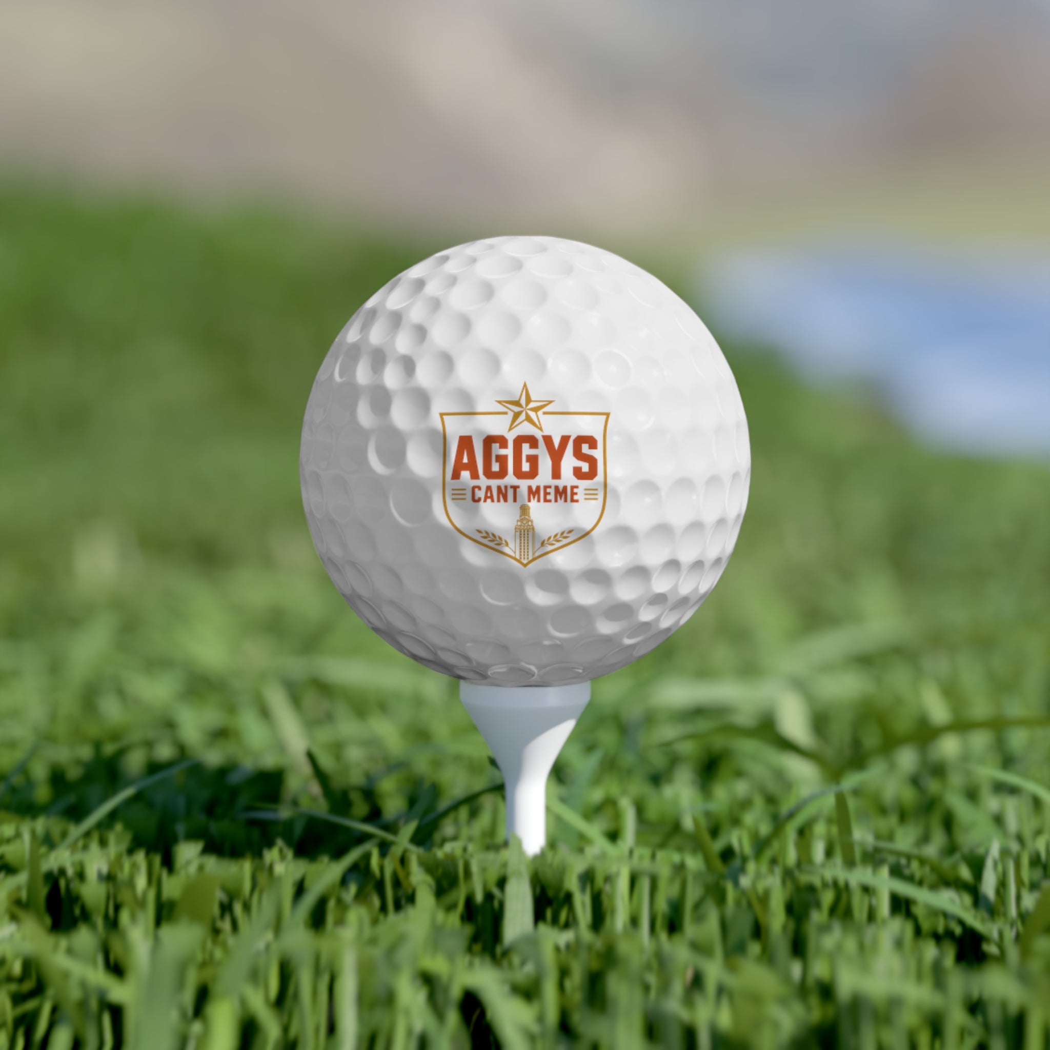 Aggys Can't Meme Golf Balls 6pack